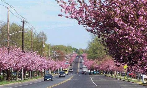 Things to do in cherry hill nj. Things To Know About Things to do in cherry hill nj. 